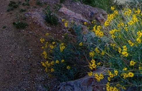 粉象生活如何退粉