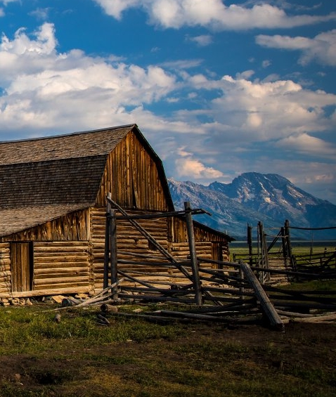 佛山粉象生活推广粉象生活