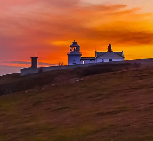 粉象生活代理电话粉象生活