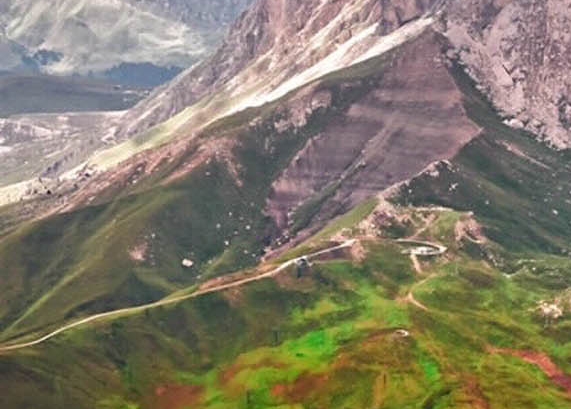 粉象生活下载app