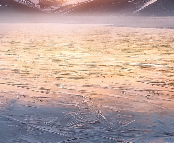 粉象生活粉丝怎么增加