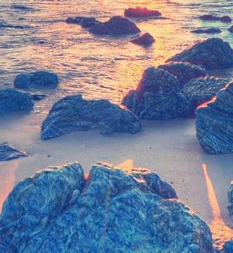 粉象生活优惠券在哪