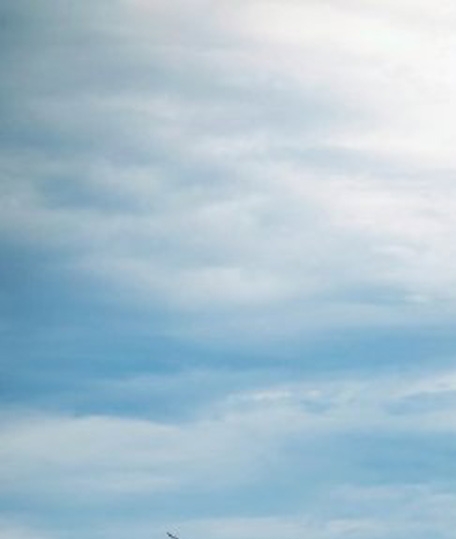 粉象生活是什么样的平台