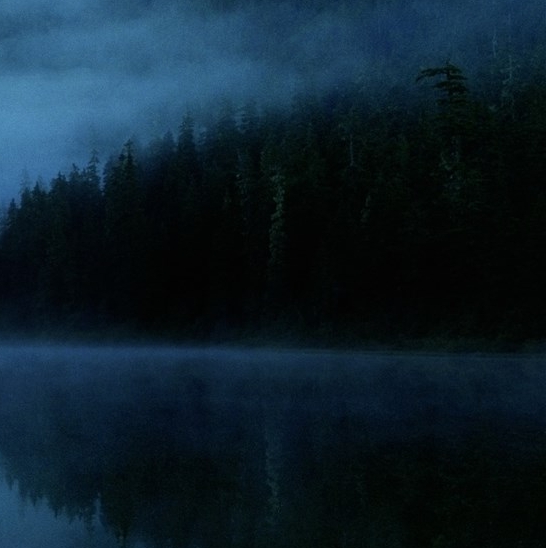 粉象生活升级后大概几天才看到收入