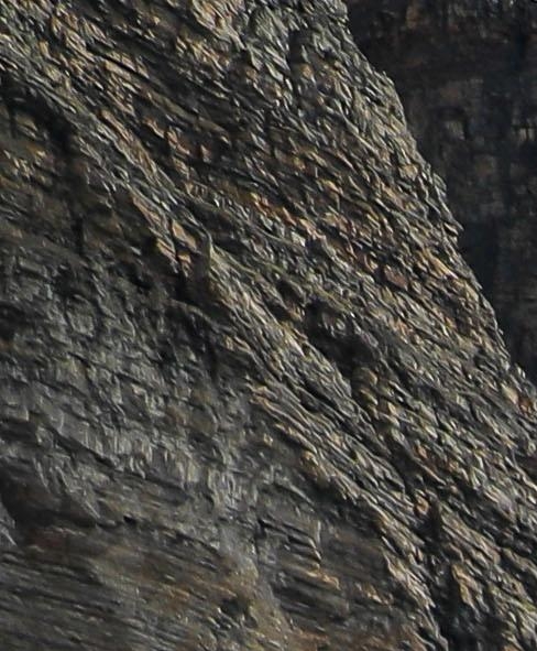 粉象生活购物车在哪