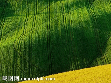 粉象阅读破解版