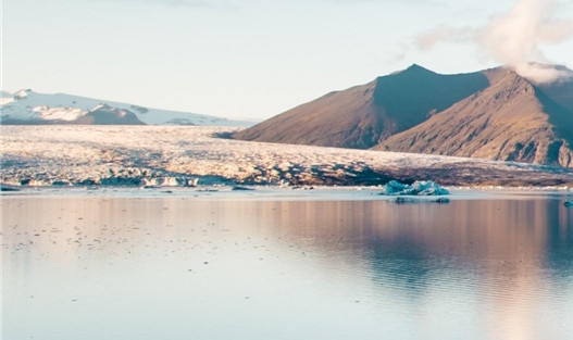 粉象生活京东返利