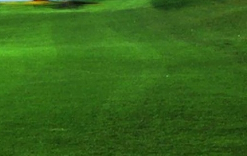 粉象生活怎么赚钱