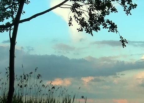 粉象生活值得持有吗