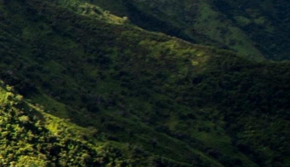 粉象生活app客服电话是