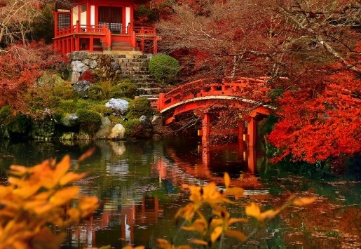 粉象生活送多少流量