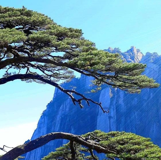 天天乐学电脑版官网