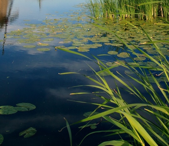 粉象生活邀请码