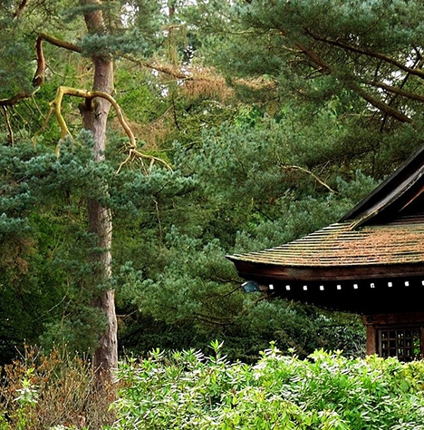 粉象生活类似的软件