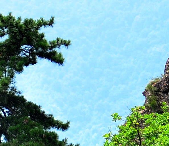 粉象生活推广怎么做