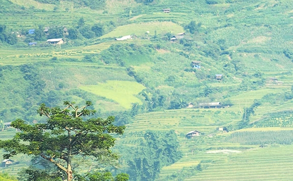 粉象生活下载并安装