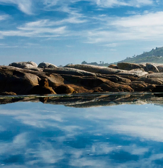 加入粉象生活VIP可行吗