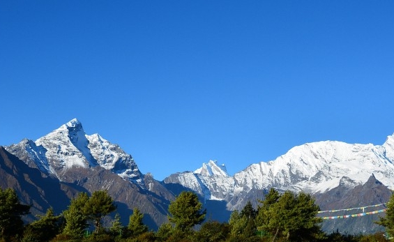 粉象生活里的喵币怎么用