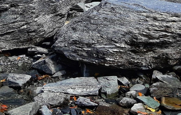 漳州粉象生活收入