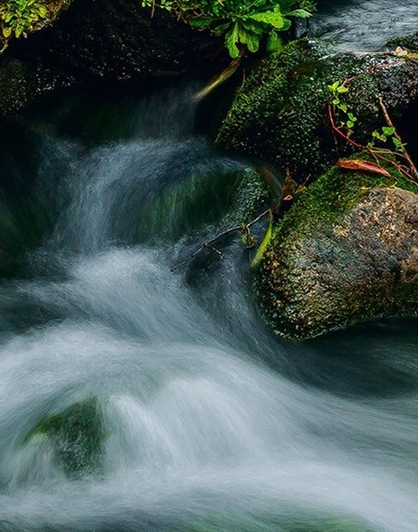 深圳粉象生活加盟代理