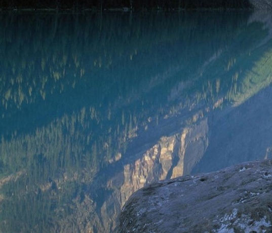 粉象生活要交钱吗