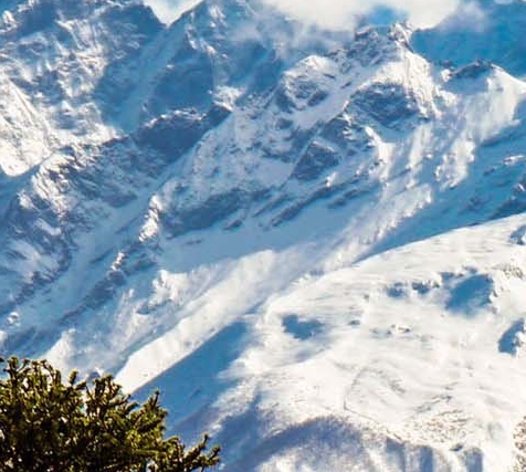 粉象生活怎么快速推广