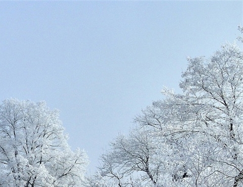 粉象世界app官方下载