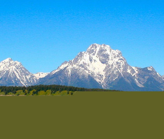 粉象生活下载app