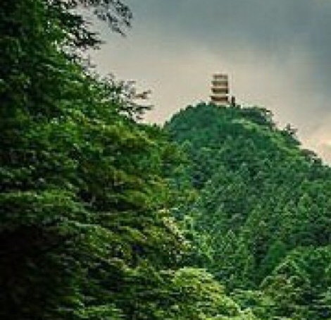 粉象生活邀请码