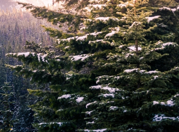 粉象生活上的文章怎么发