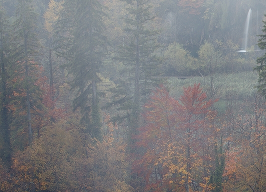 粉象生活赚钱教程