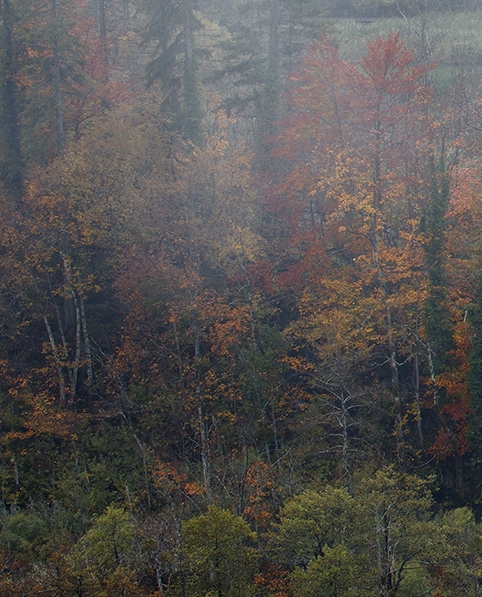 粉象生活是什么?