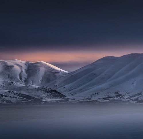 粉象生活下载官方正版