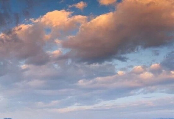 粉象生活升级后大概几天才看到收入