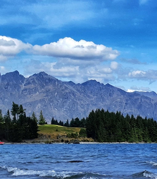 东营粉象生活收入