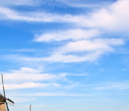 阳江粉象生活合伙人