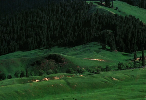 粉象生活邀请码