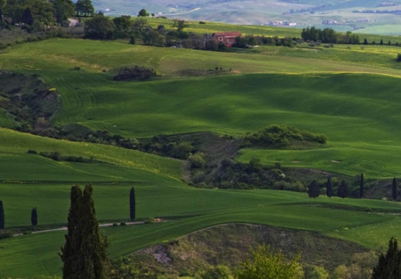 汕尾粉象生活加盟代理