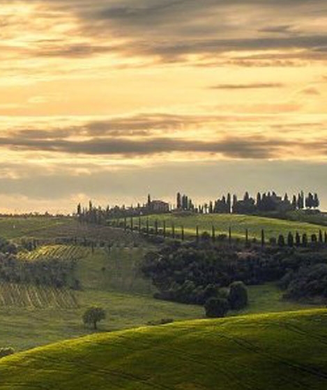 粉象生活是什么?