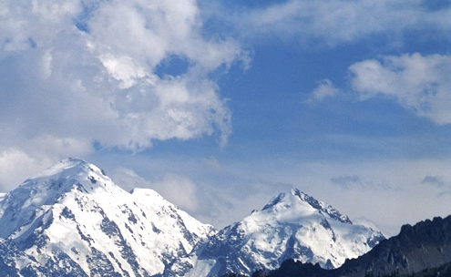 粉象生活如何看推荐量