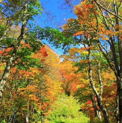 庞星火同款口罩