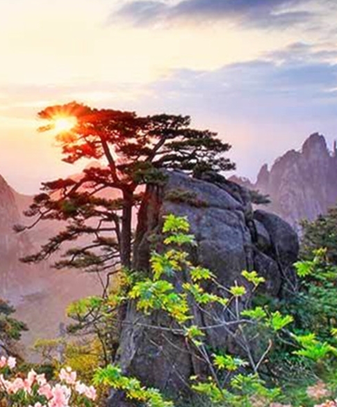 团队代表上台介绍团队