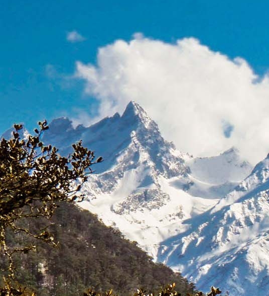 粉象生活下载app