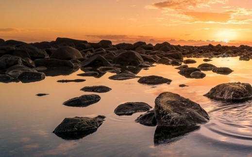 肇庆粉象生活怎么样