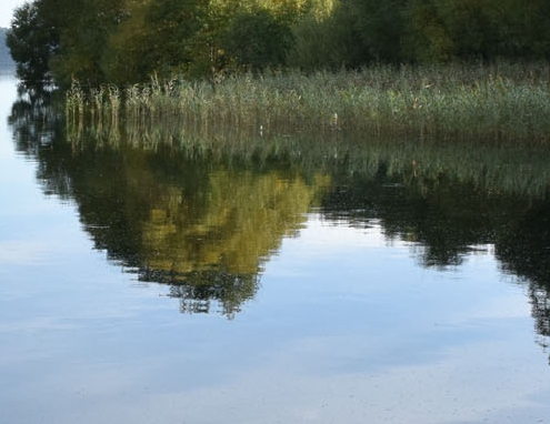 粉象生活里面的淘宝链接怎么弄