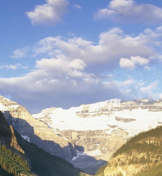 粉象生活购物平台真实吗