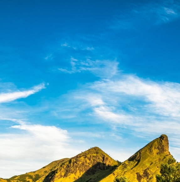 粉象追剧app2023新版