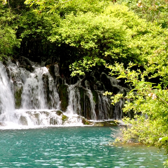 快手上的粉象生活挣钱是真的吗