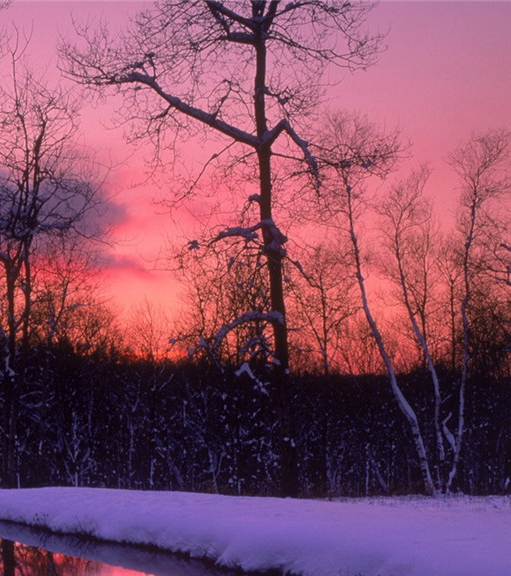 粉象生活创始码