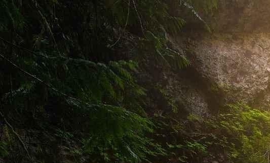 粉象生活商家客服